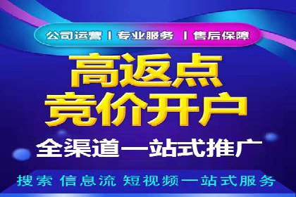 网络推广秘籍：竞价排名成功案例集锦